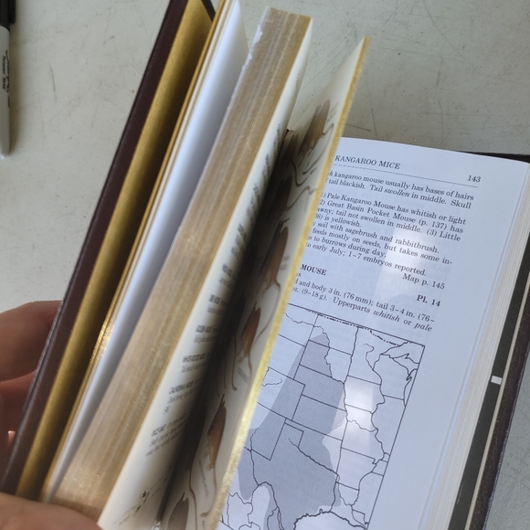 Roger Tory Peterson Field Guides - Picture 7 of 10